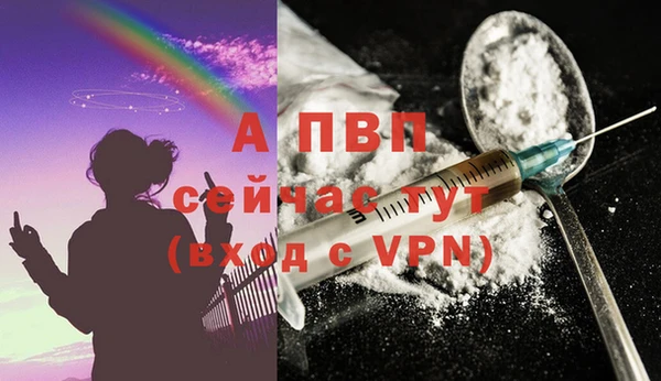 стаф Белоозёрский